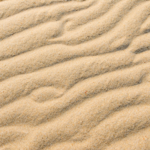 Sol sem costura de textura de areia do mar de verão