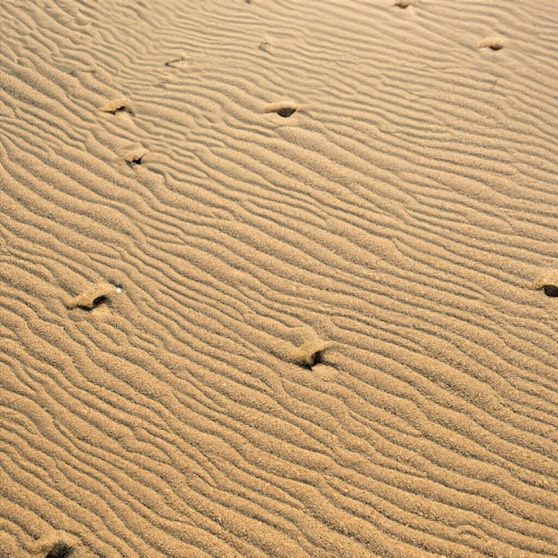 Sol sem costura de textura de areia do mar de verão