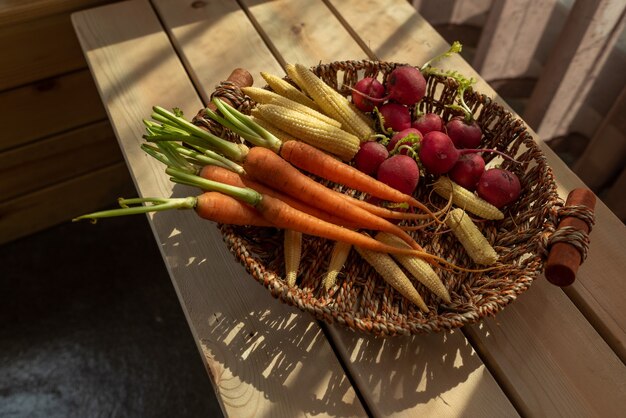 El sol de la tarde brilla sobre los rábanos rojos y naranjas de la canasta.