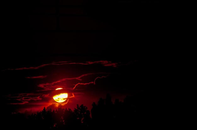 Sol vermelho se pondo entre as nuvens na floresta