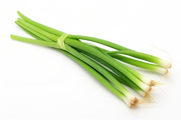 Una sola cebolla verde aislada sobre un fondo blanco