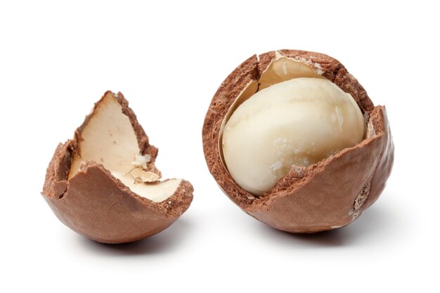 Una sola nuez de macadamia en una cáscara rota aislada sobre fondo blanco de cerca