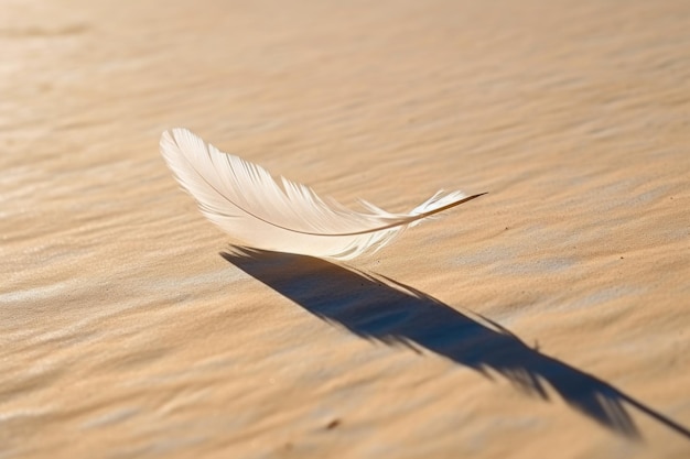 Una sola pluma blanca que proyecta una larga sombra sobre una superficie lisa