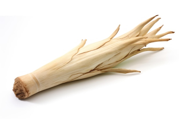 Foto una sola raíz de yuca aislada sobre un fondo blanco