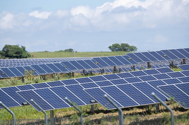 Solarfarm grüne Energie aus Sonnenlicht zeigt viel Solarzellenplatte. Selektiver Fokus.