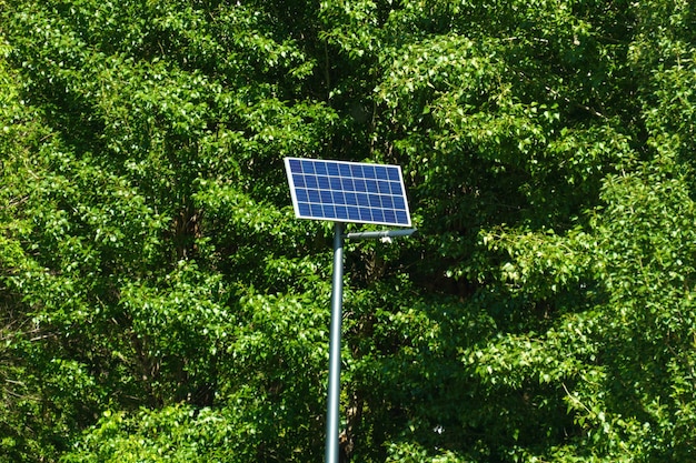 Solarpanel auf dem Hintergrund grüner Bäume Konzept alternativer Energiequellen Selektiver Fokus