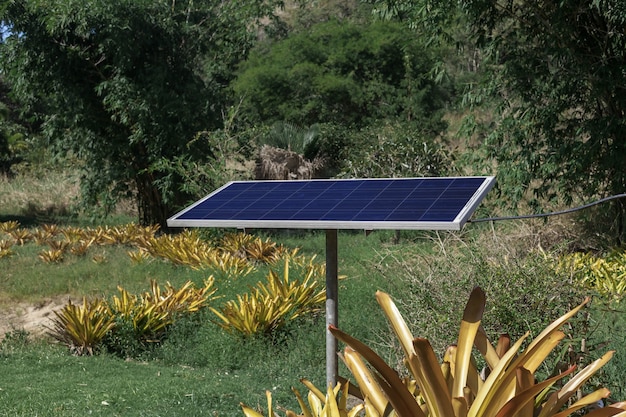 Solarzellenplatte im Dschungel. grüne Ökologie.