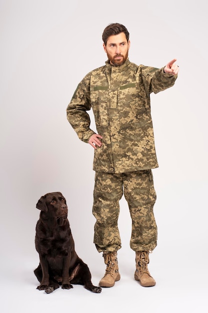 Soldado entrenando a un perro Labrador marrón mirando hacia otro lado mostrando algo aislado en un fondo blanco