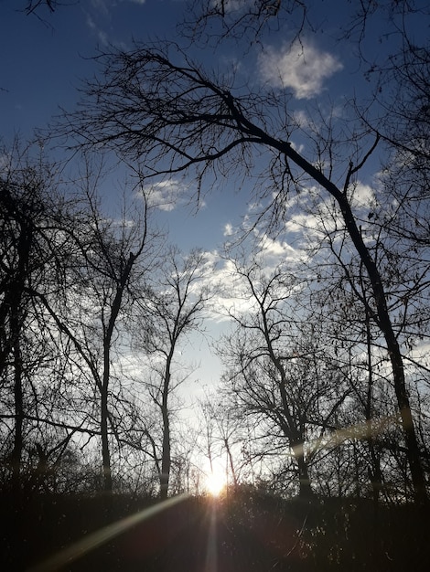 Soleado día de invierno