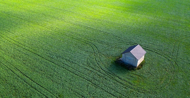 Solidão na natureza uma casa solitária em um campo verde