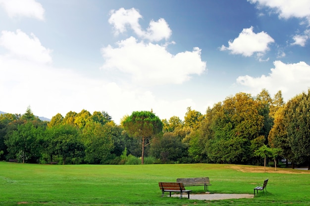 Foto solo banco en el parque durante el día de primavera