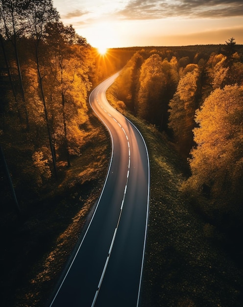 Un solo camino recto en medio del bosque de colores