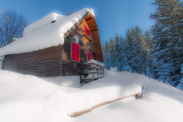 Solo en casa en la nieve