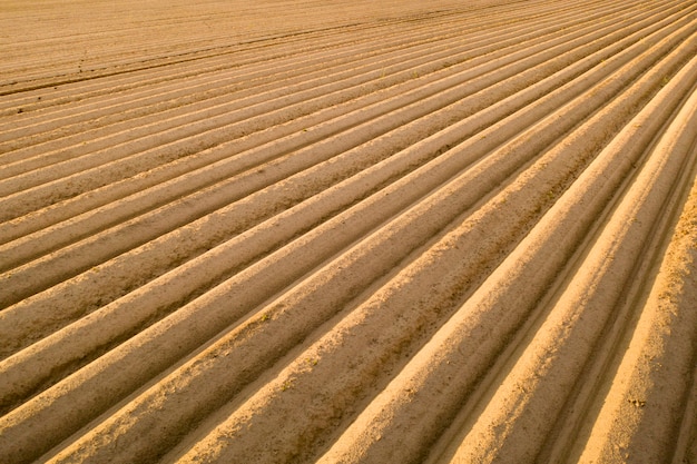 Solo cultivado de alta qualidade para o plantio de safras agrícolas.