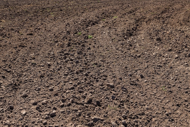 Foto solo cultivado solo terra marrom solo agrícola marrom