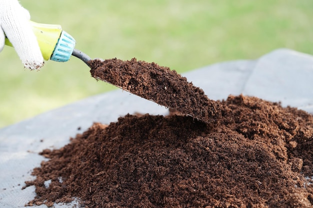 Solo de fertilizante de musgo de turfa para planta de agricultura orgânica crescendo conceito de ecologia