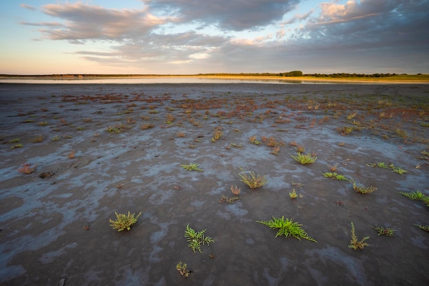 Solo do deserto em uma lagoa seca La Pampa província Patagônia Argentina