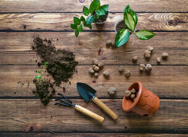 Solo e drenagem dispostos sobre a mesa. Transplante de plantas de casa. Cultivo de plantas, floricultura em casa.