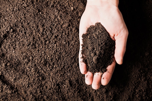 Solo em mãos, palma, terra cultivada, terra, solo, fundo de terra marrom. Jardinagem orgânica,