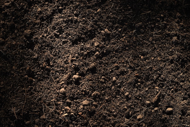Solo fértil do barro apropriado para plantar, fundo da textura do solo.