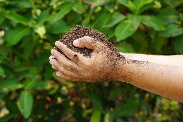 solo fértil nas mãos dos agricultores para plantar