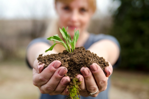 Solo fresco, com, novo, pequeno, planta verde, sprout, em, mulher, mãos