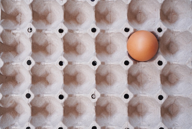 Foto solo huevo de gallina en caja de cartón de huevos vacía