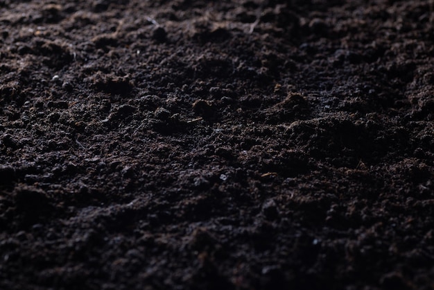 Solo limpo para cultivo O solo para vasos ou turfa é adequado para jardinagem e é um dos quatro elementos naturais A terra é vida para o nosso planeta Terra Foco seletivo