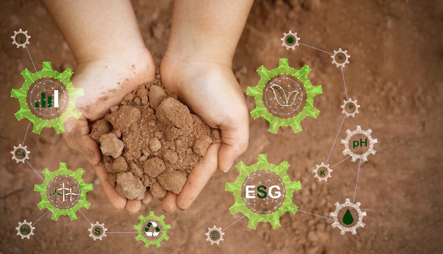 Solo nas mãos para verificar a qualidade do solo para controlar a qualidade do solo antes da sementeira