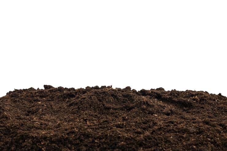 Foto solo para planta isolado no fundo branco. padrão do solo.