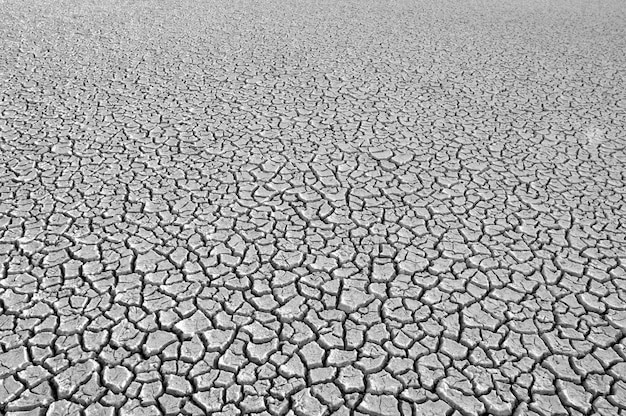 Solo quebrado no ambiente de Pampas Patagônia Argentina