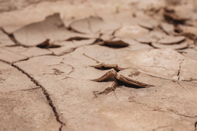 Solo rachado causado pela natureza nos trópicos em clima quente