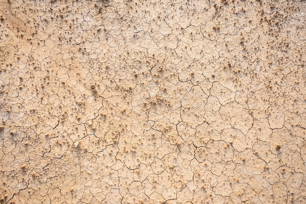 Solo seco de Brown ou fundo à terra rachado da textura.