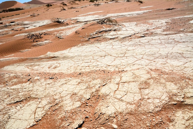 Solo seco de deserto marrom rachado com rachaduras e plantas secas sobre ele Mudanças climáticas mundiais e aquecimento