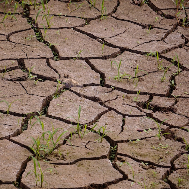 solo seco do deserto, mudança climática, aquecimento global