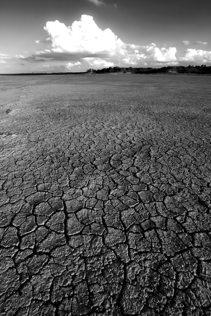 Solo seco quebrado em uma lagoa de Pampas La Pampa província Patagônia Argentina