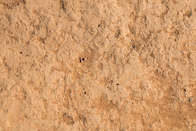 Foto solos secos e sujos área de seca superfície do chão duro de solos áridos em áreas rurais