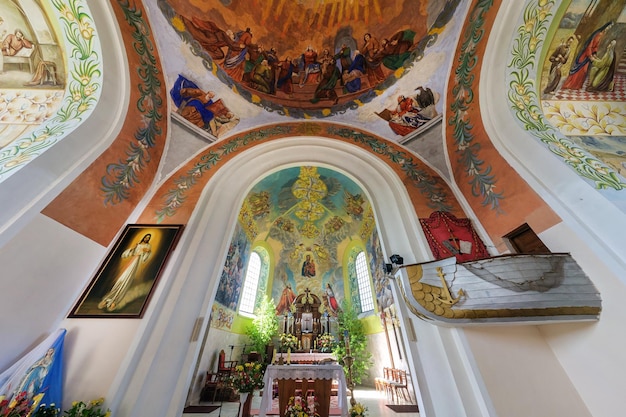 SOLY BELARUS MARZO 2018 interior y cúpula y mirando hacia el techo de una iglesia barroca católica