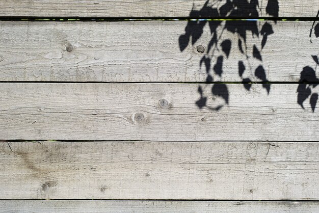 Sombra de árbol y hojas en la valla de madera al aire libre, placas anchas ásperas horizontales, fondo texturizado.