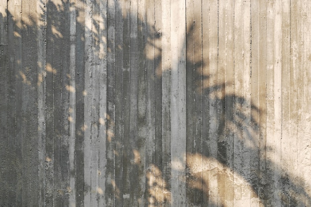 Sombra del árbol en el muro de hormigón crudo con textura de trabajo de forma de madera