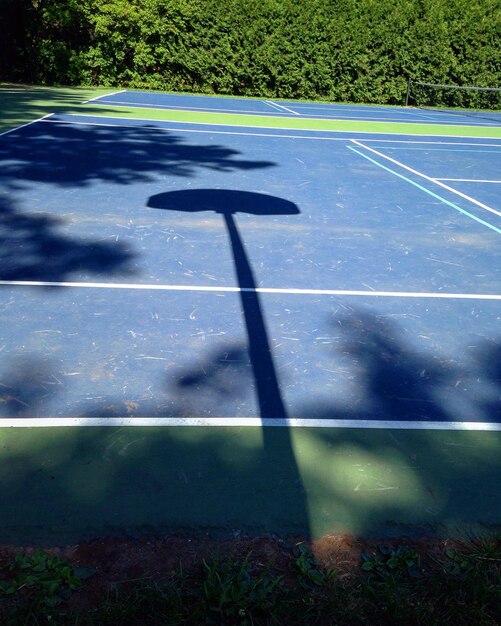 Foto la sombra de un árbol en el prado