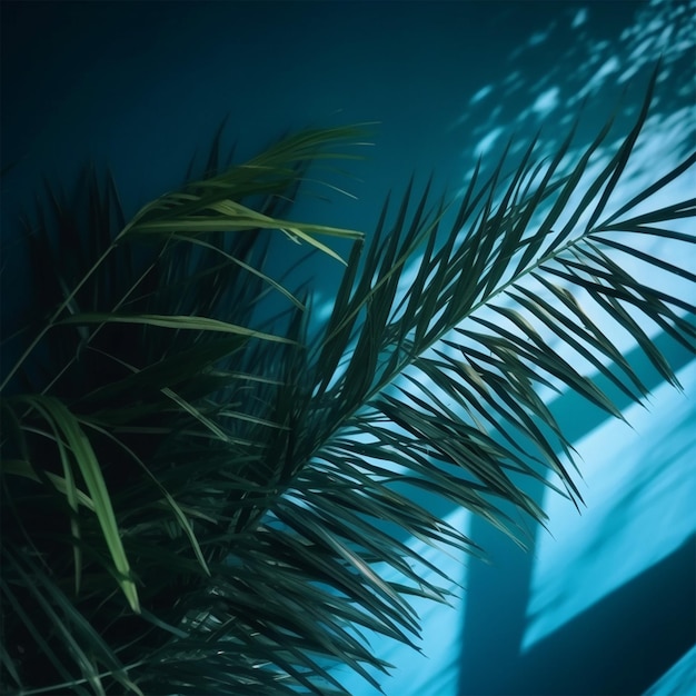 Sombra borrada das folhas de palmeira na parede azul