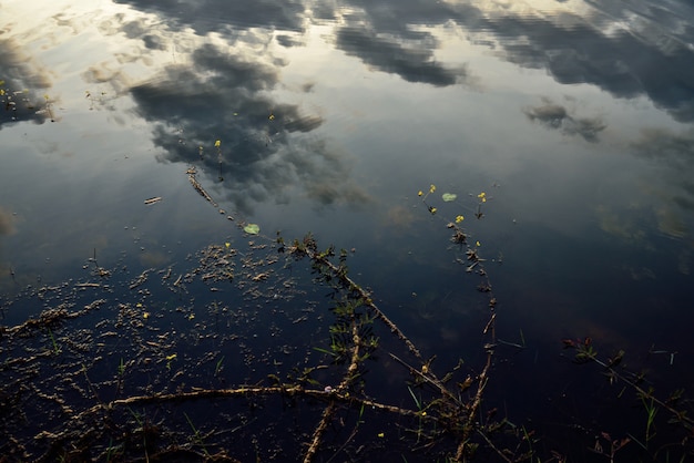 sombra del cielo nocturno sobre el agua