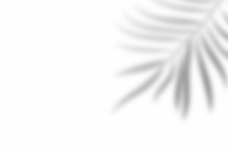 Foto sombra da folha de sobreposição no fundo branco da textura. use para apresentação de produtos decorativos.