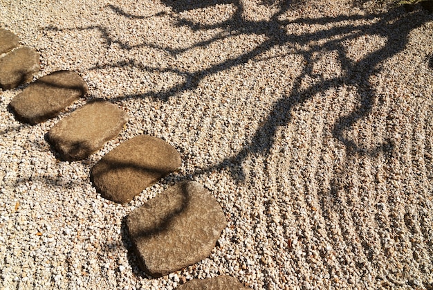 Sombra de árvore cênica em jardim zen japonês