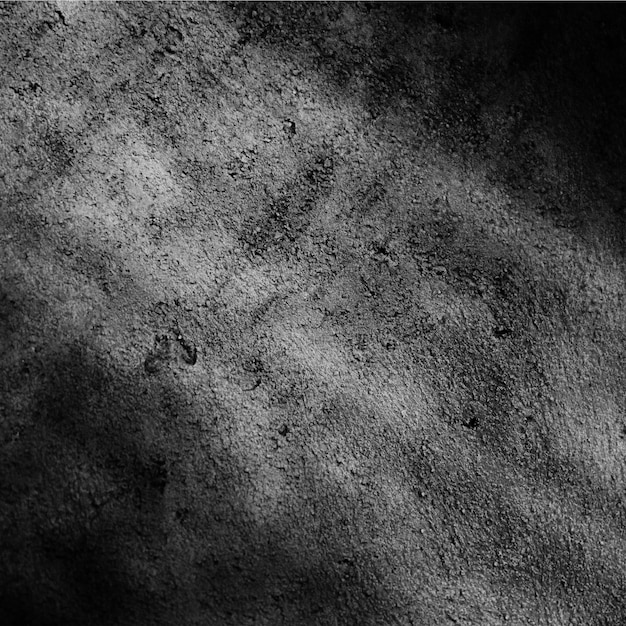 sombra de árvore no fundo escuro de concreto
