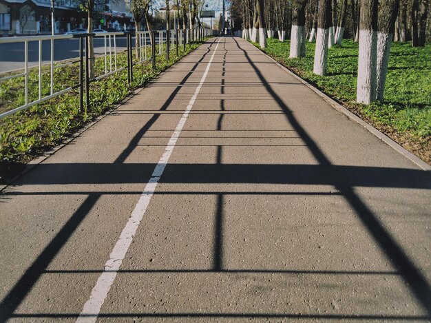 Foto sombra de árvores na grama