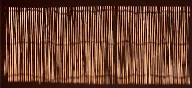 Sombra de cerca de bambu na parede