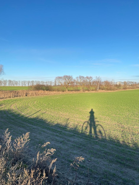 Sombra de ciclista em uma grama verde no campo