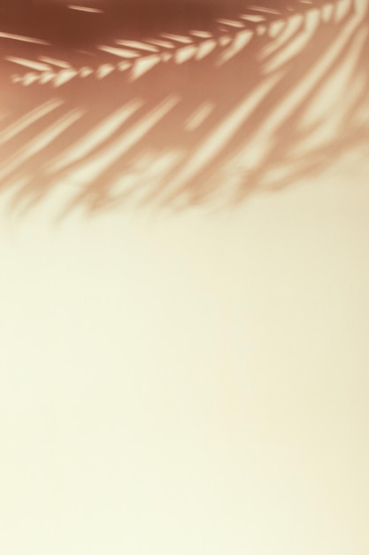 Sombra de folha de palmeira em uma parede bege Conceito exótico mínimo de verão com espaço de cópia